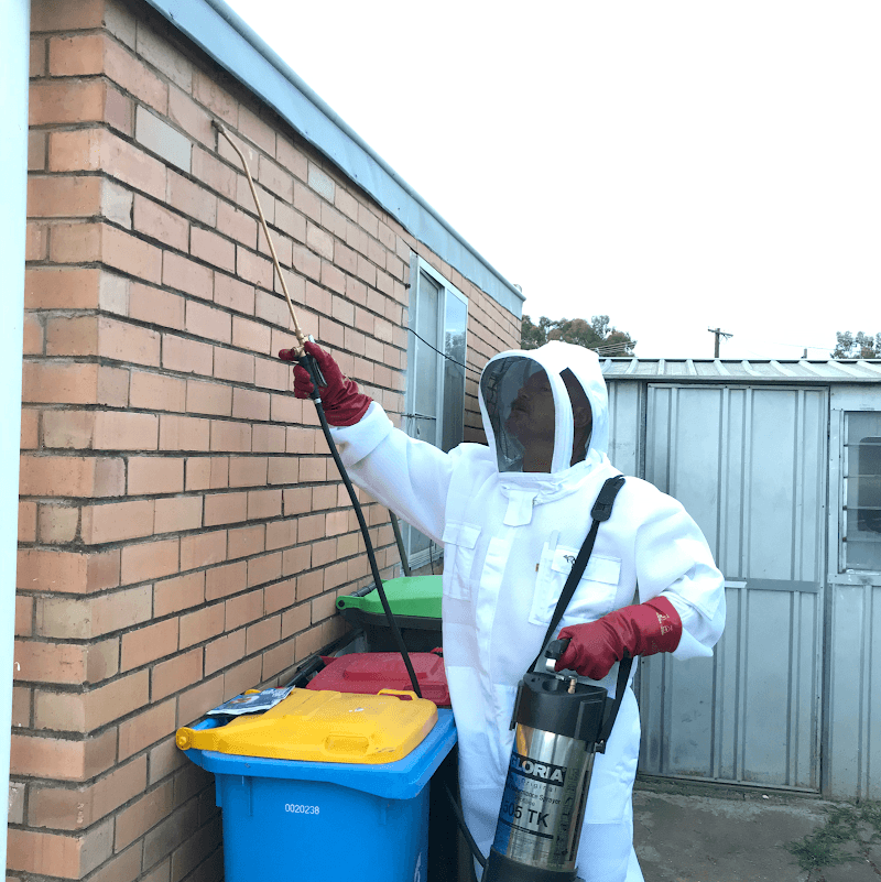 Fleet Pest Control pest control work in Elwood