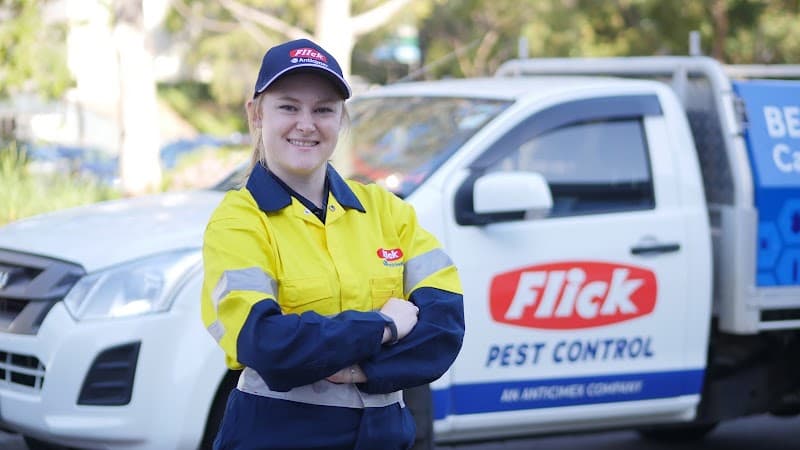 Flick gutter cleaning work in Kawana