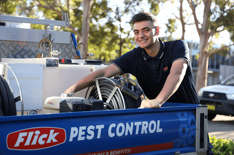 Flick pest control work in Kunda Park