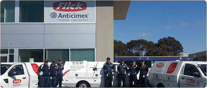 Flick Pest Control Canberra pest control work in Fyshwick