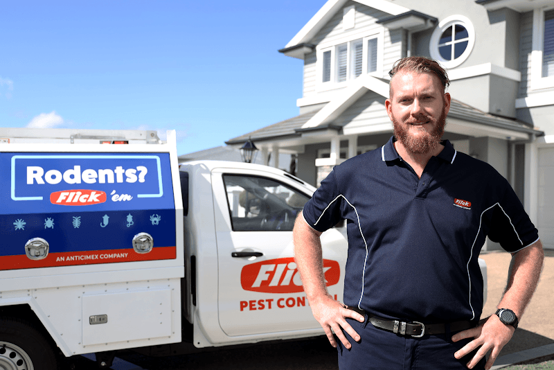 Flick Pest Control Capalaba pest control work in Capalaba