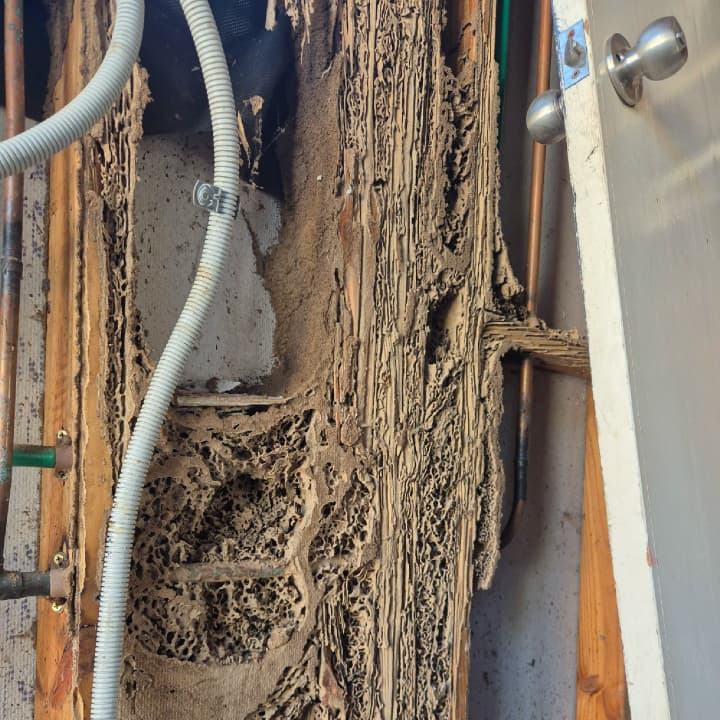 Flick Pest Control Fraser Coast pest control work in Maryborough