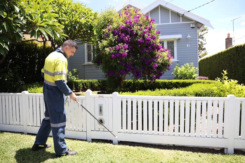 Flick Pest Control North Mackay pest control work in North Mackay