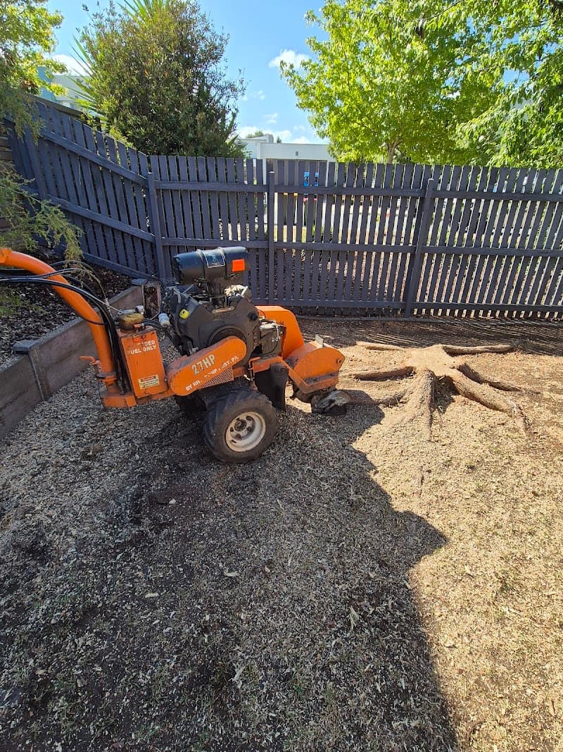 Flourish Tree & Garden Service tree services work in Torrens