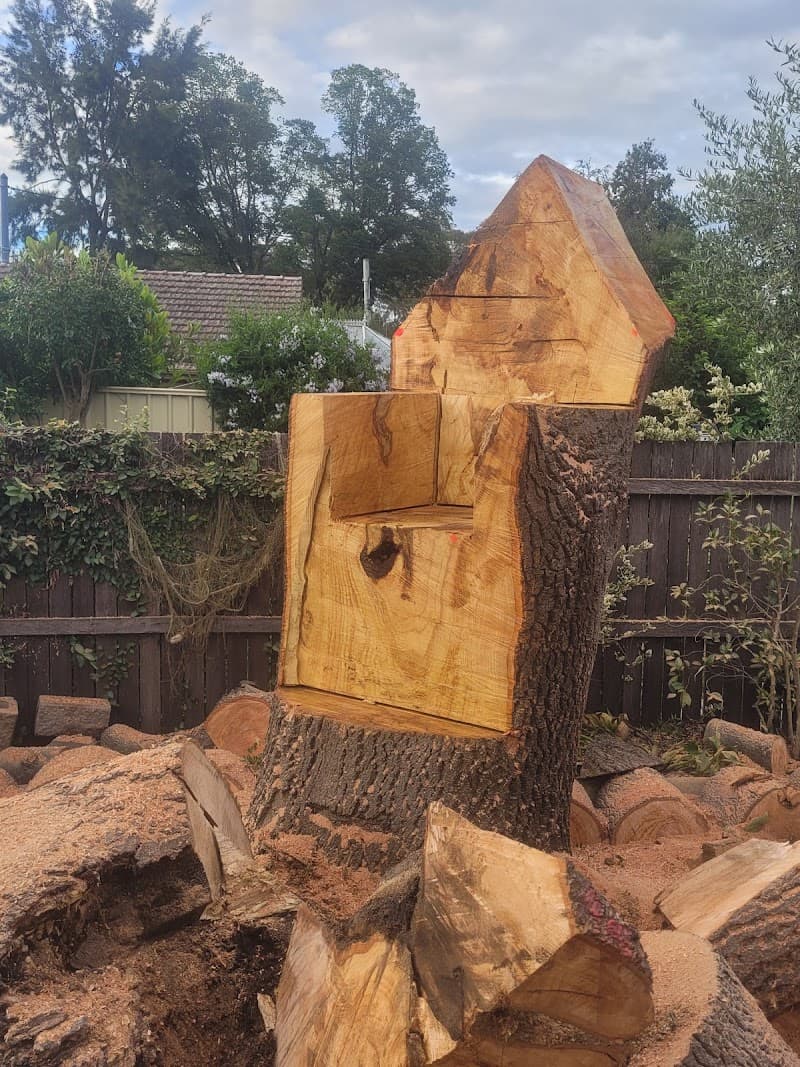 Flourish Tree & Garden Service tree services work in Torrens