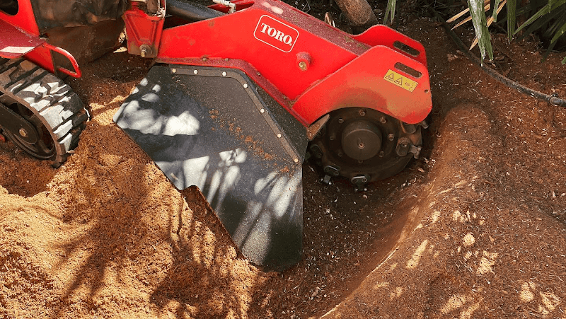 FNQ Stump Grinding tree services work in Aeroglen