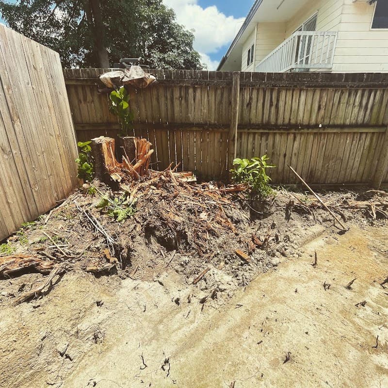 FNQ Stump Grinding tree services work in Aeroglen