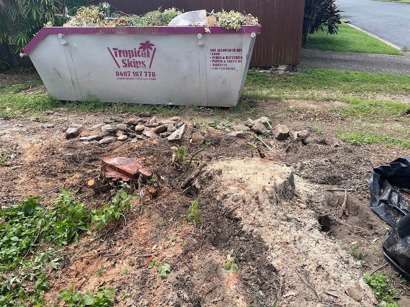 FNQ Stump Grinding tree services work in Aeroglen