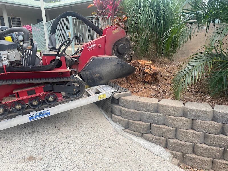 FNQ Stump Grinding tree services work in Aeroglen