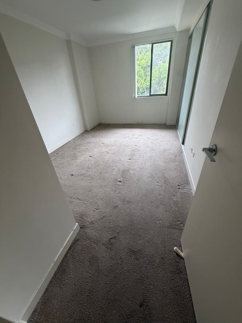 Focus prime cleaning gutter cleaning work in Westmead