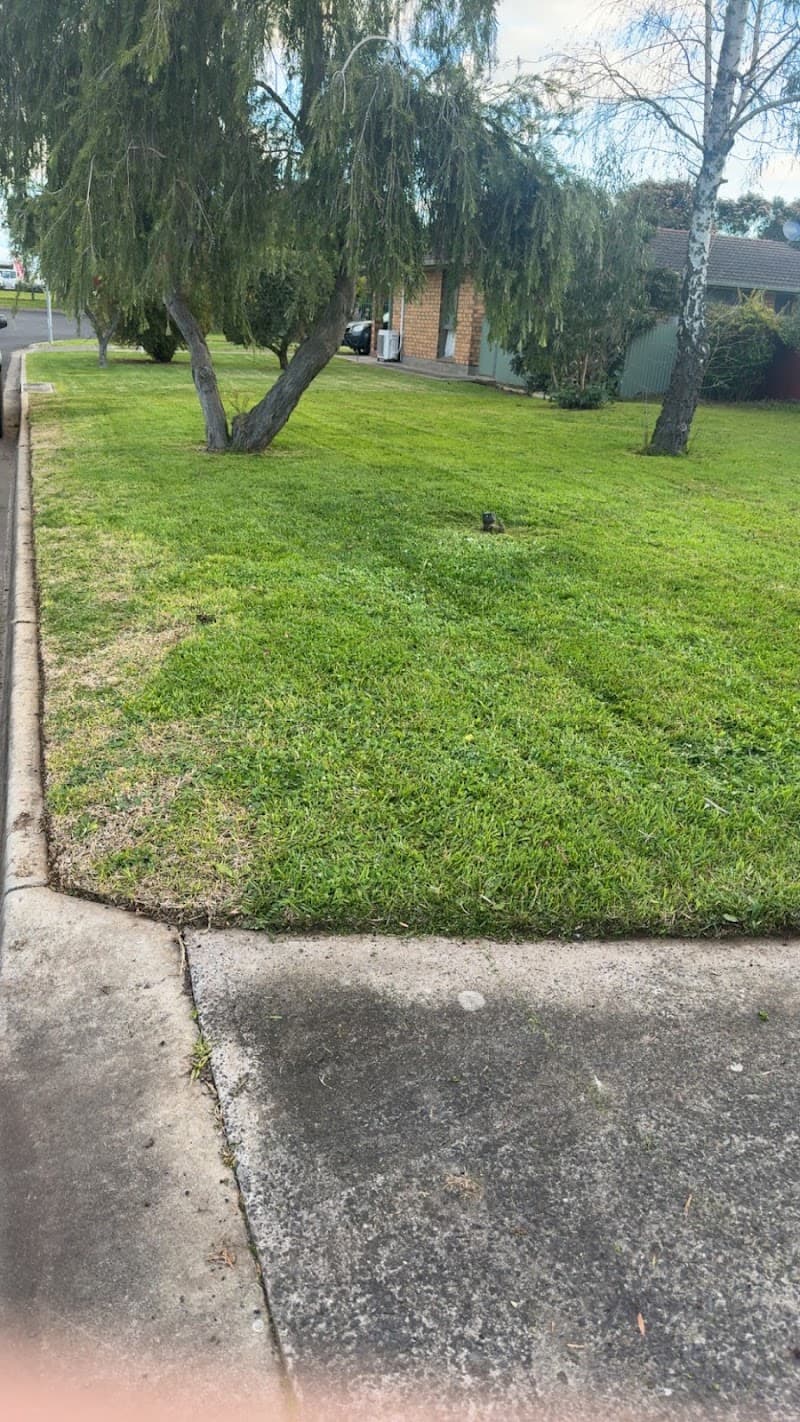 Foulds contracting gardening work in Mount Gambier