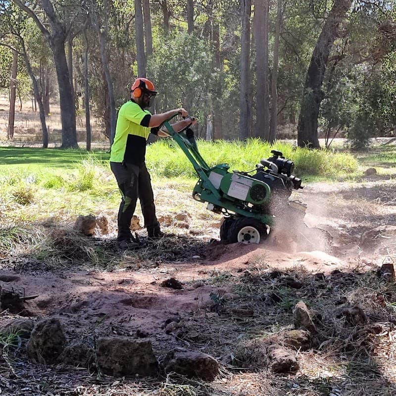 Four Seasons Tree Service tree services work in Baldivis
