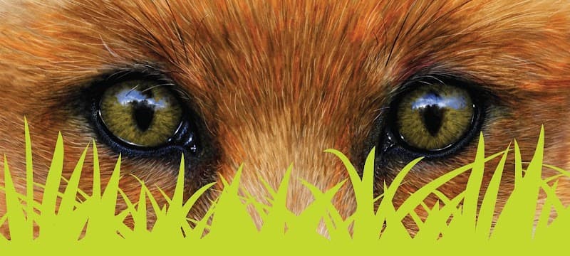 Fox Mowing & Gardening Eimeo | Lawn Mowing & Gardening Services gardening work in Eimeo