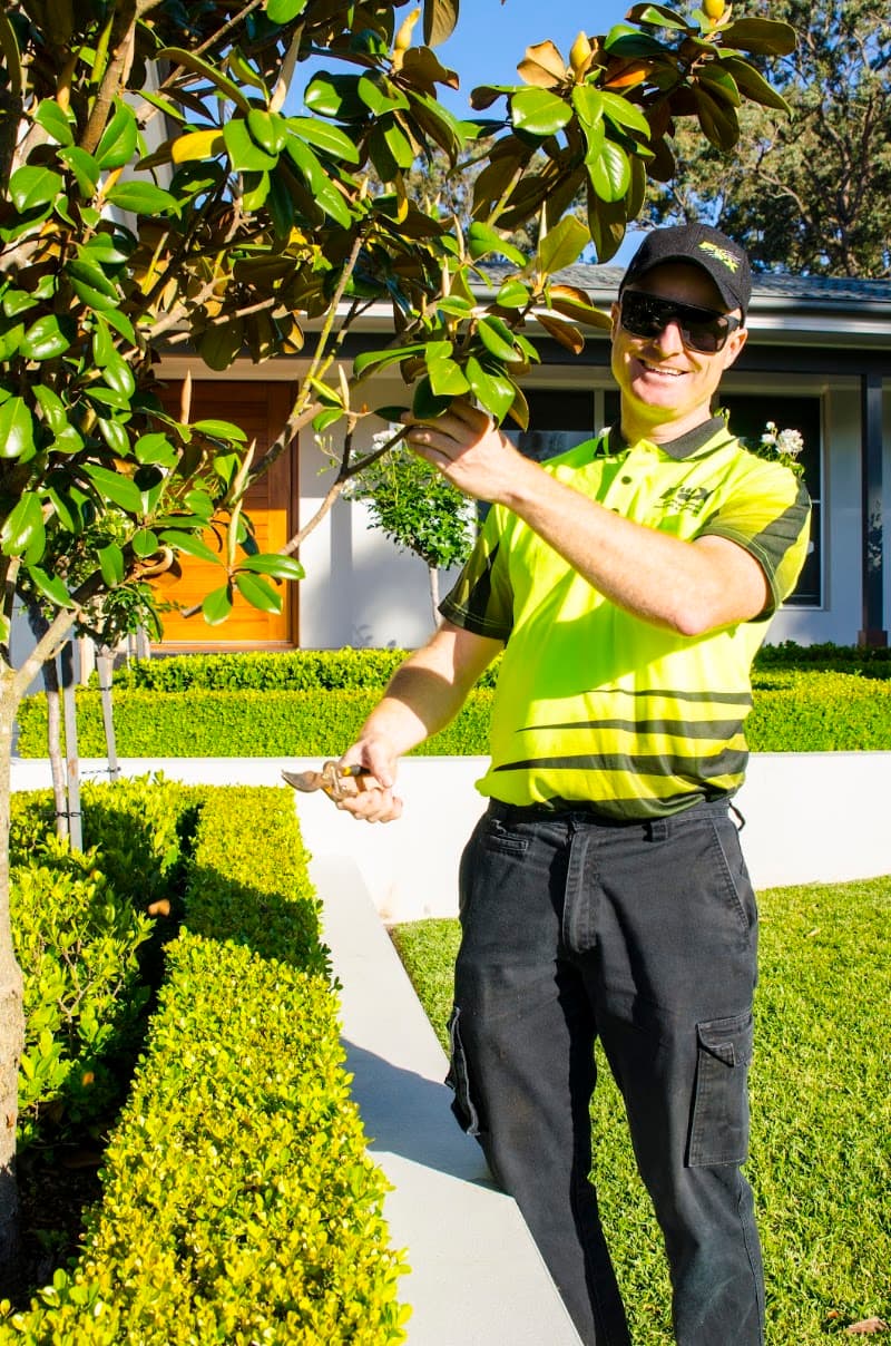 Fox Mowing & Gardening Eimeo | Lawn Mowing & Gardening Services gardening work in Eimeo