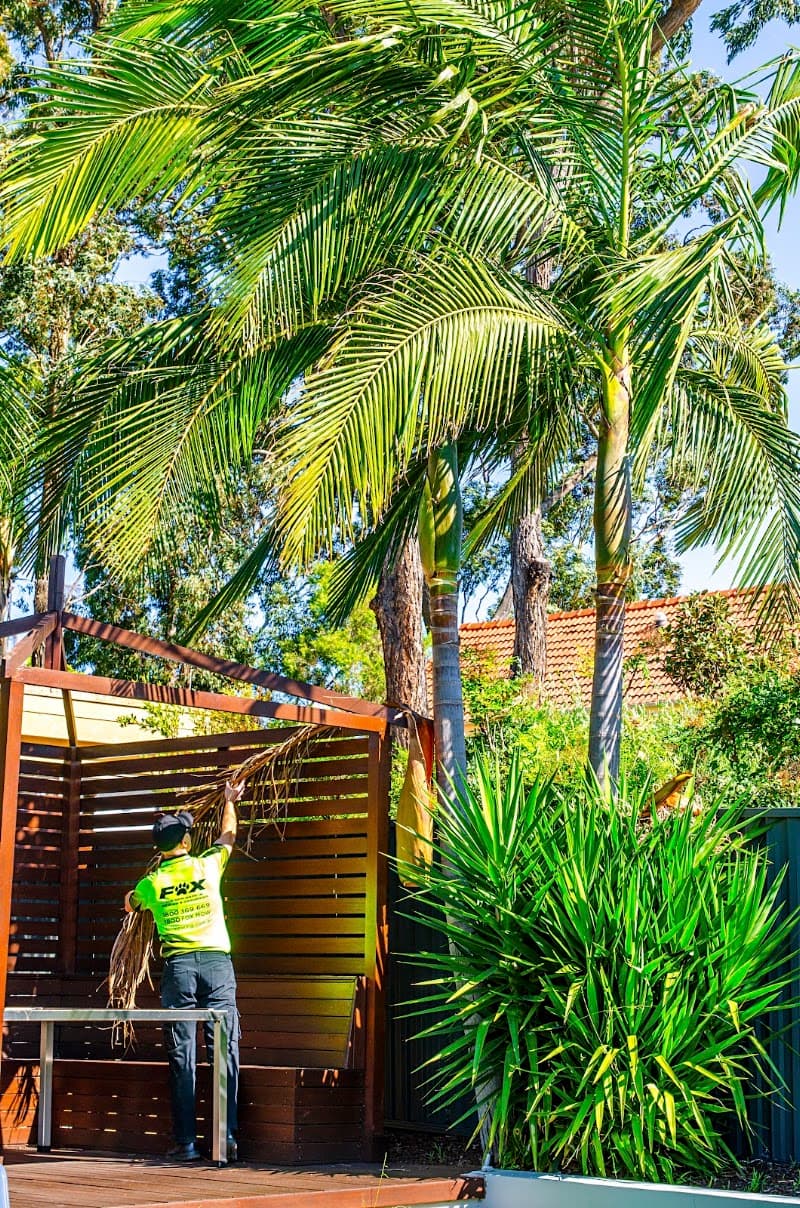 Fox Mowing & Gardening Eimeo | Lawn Mowing & Gardening Services gardening work in Eimeo