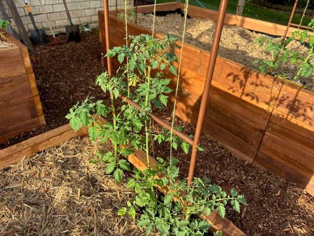 Fraser Coast Garden Bed Co gardening work in Dundowran