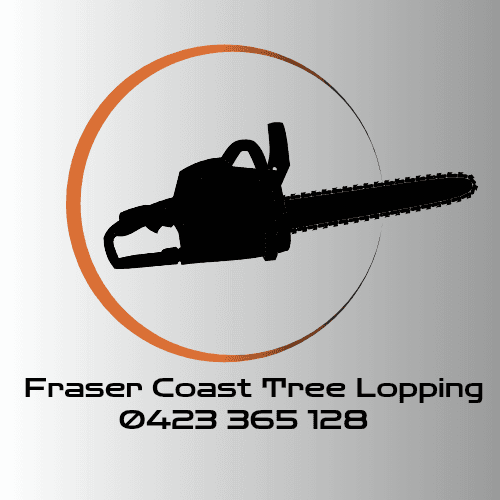 Fraser Coast Tree Lopping tree services work in Kawungan