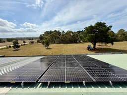 Freelight Energy pty ltd