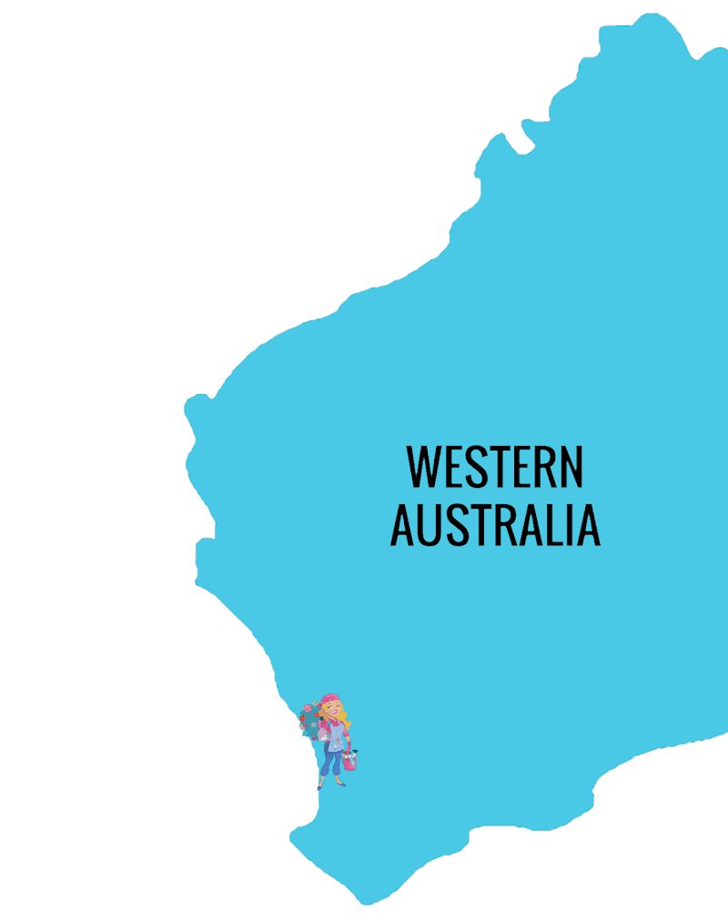 Fresh Aroma Cleaning Services cleaning work in Northbridge