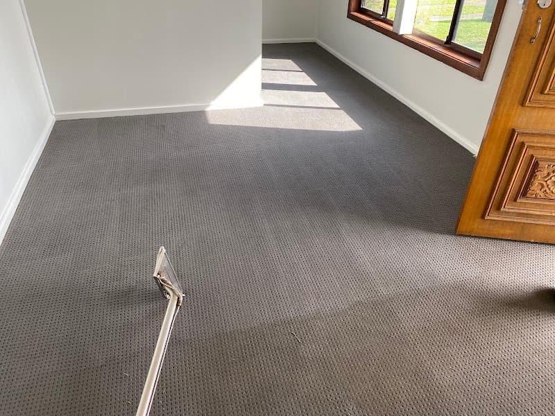 Fresh Carpet Cleaners Newcastle carpet cleaning work in Mayfield