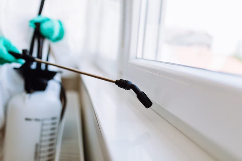 Fresh Carpet Cleaners Newcastle carpet cleaning work in Mayfield
