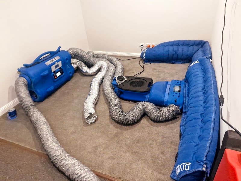 Freshen Up Carpet, Tile And Grout Cleaning carpet cleaning work in Baldivis