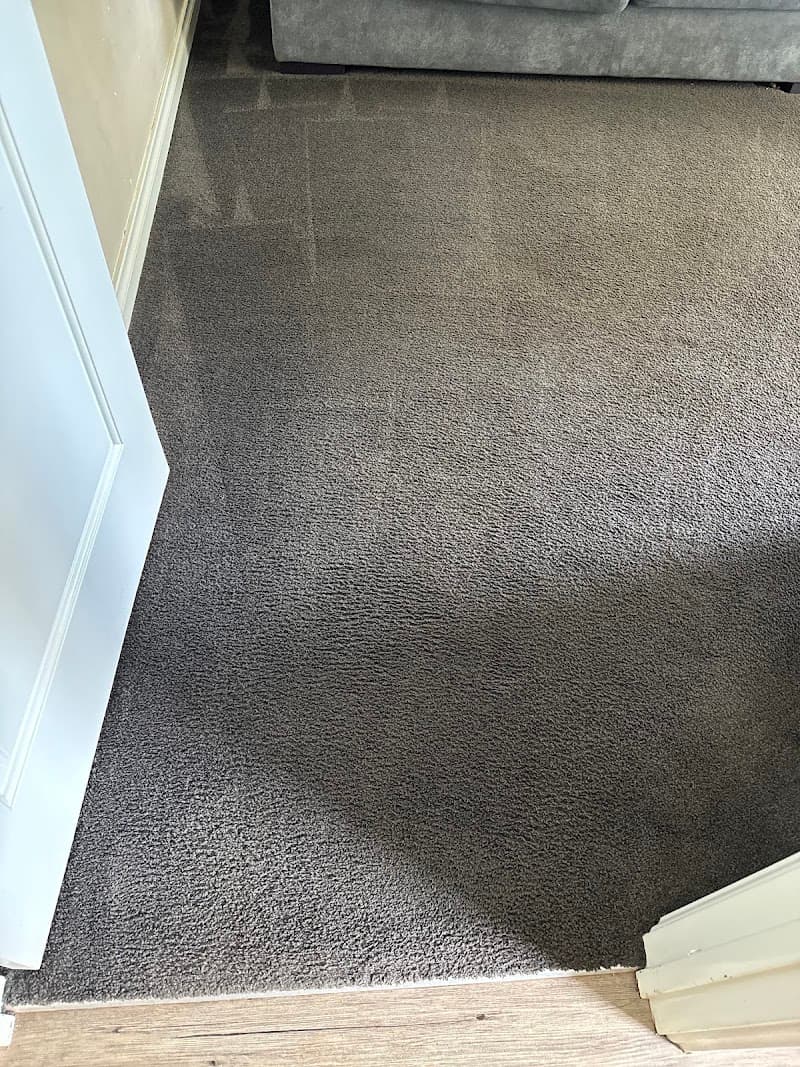 Freshen Up Carpet, Tile And Grout Cleaning carpet cleaning work in Baldivis