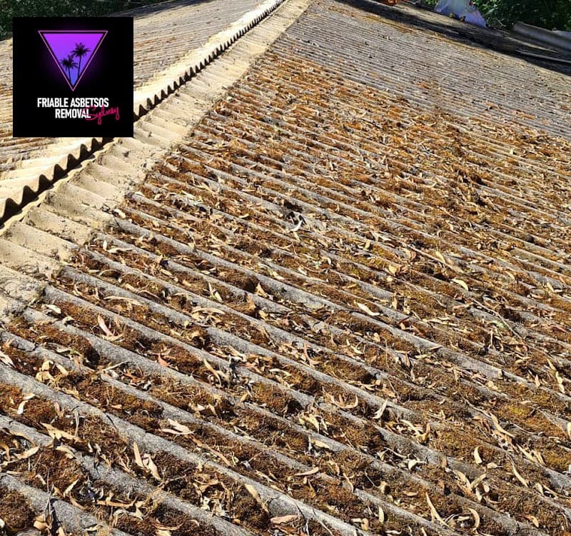 Friable Asbestos Removal Sydney asbestos removal work in Belfield