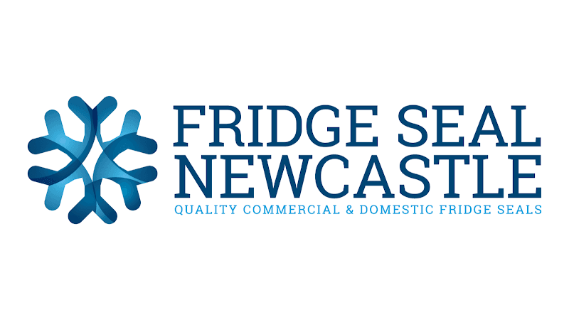Fridge Seal Newcastle appliance repair work in Cardiff