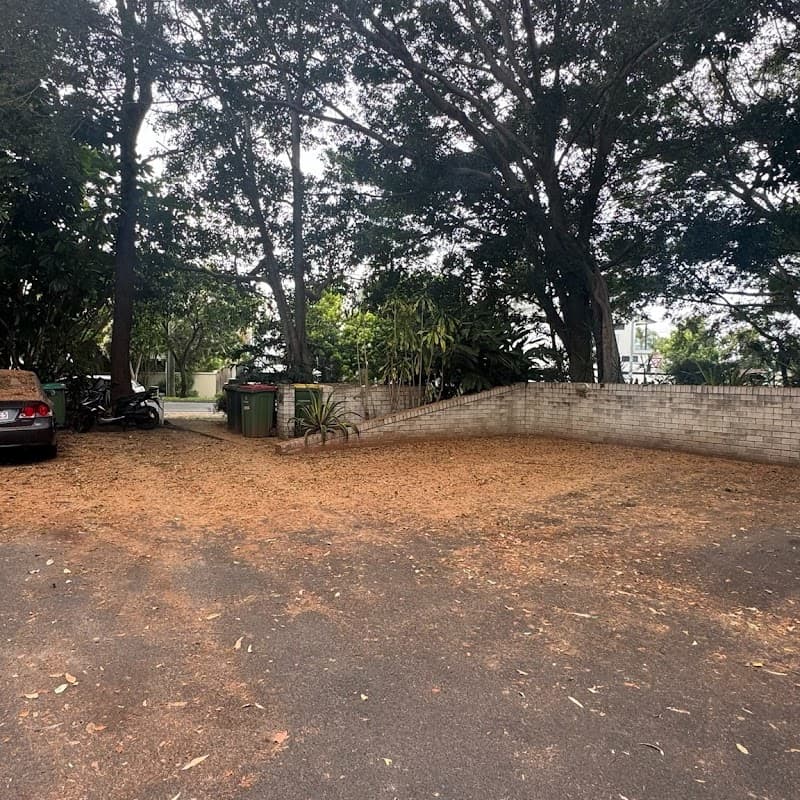 Frontier Tree Services tree services work in Molendinar