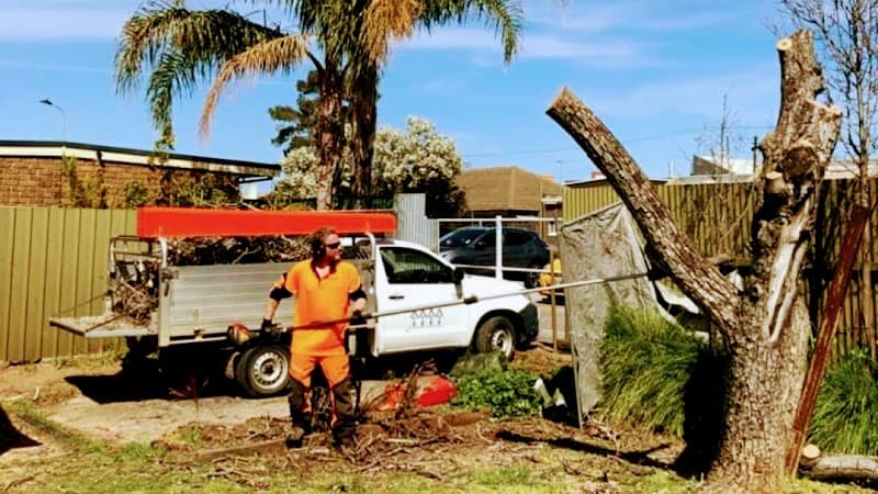 FTGU Tree Services tree services work in Happy Valley