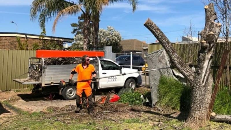 FTGU Tree Services tree services work in Happy Valley