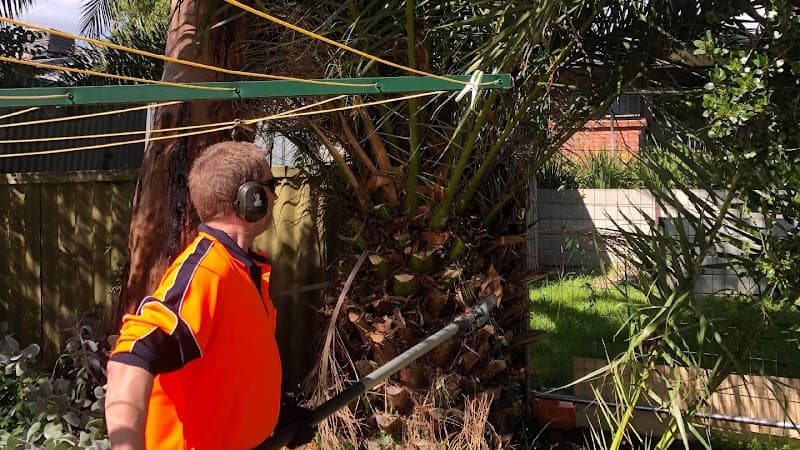 FTGU Tree Services tree services work in Happy Valley