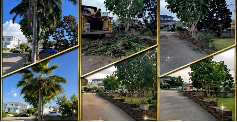 GAP Tree Lopping Services tree services work in Hurstville