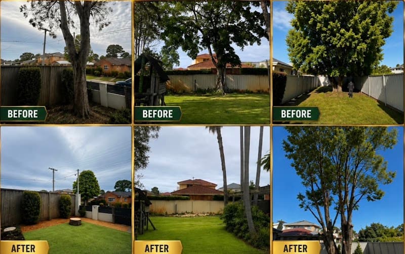 GAP Tree Lopping Services tree services work in Hurstville