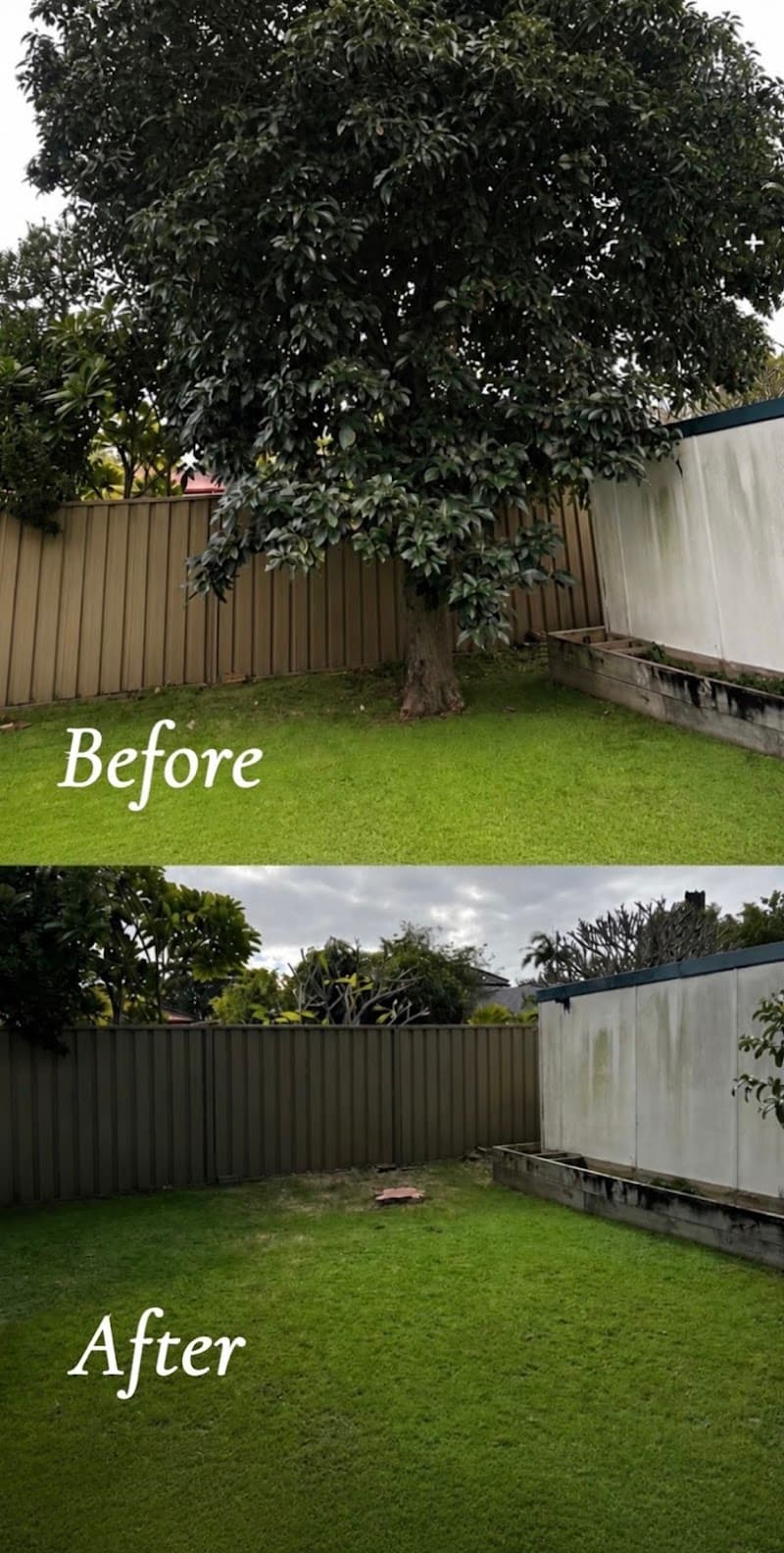 GAP Tree Lopping Services tree services work in Hurstville