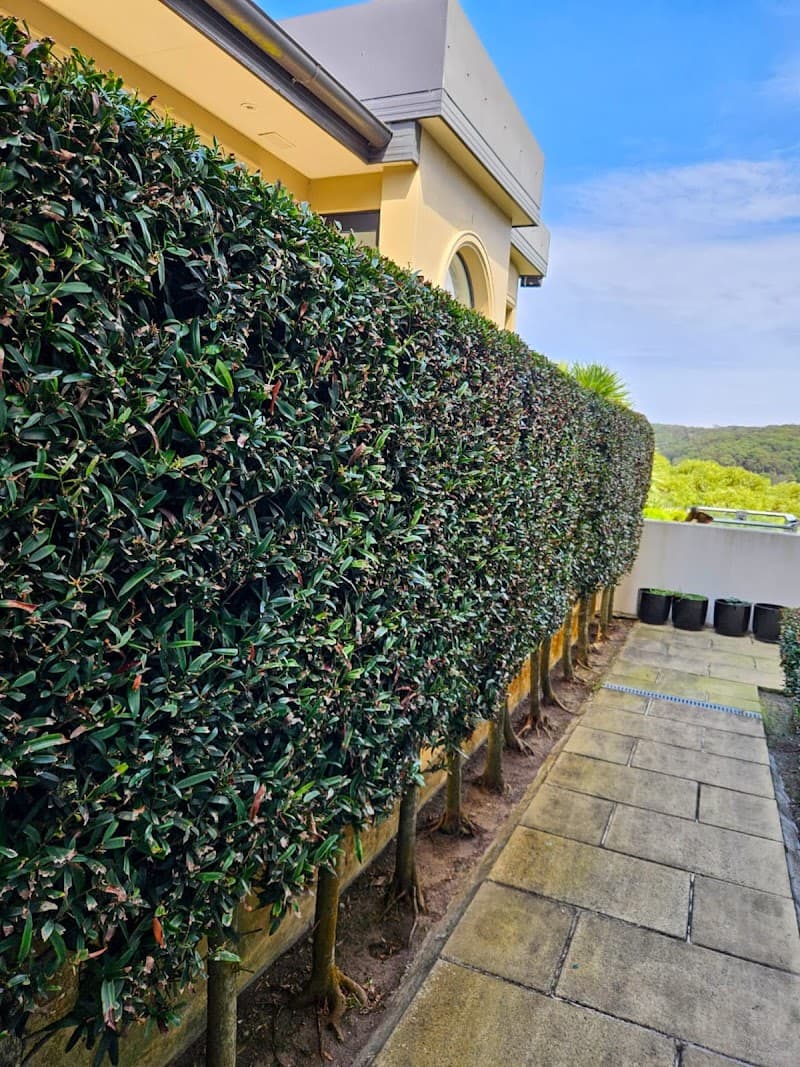 Garden Goals | Garden Maintenance & Pressure Cleaning Sydney lawn care work in Botany