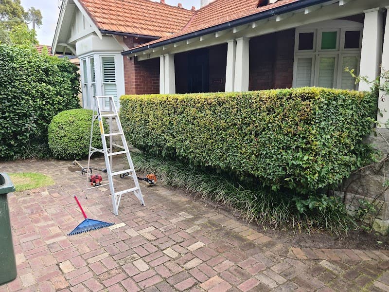 Garden Goals | Garden Maintenance & Pressure Cleaning Sydney lawn care work in Botany
