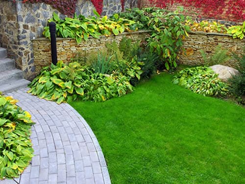 Garden Maintenance Sydney | Gardening Services & Lawn Mowing lawn care work in Chatswood
