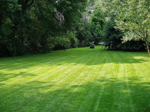 Garden Maintenance Sydney | Gardening Services & Lawn Mowing lawn care work in Chatswood