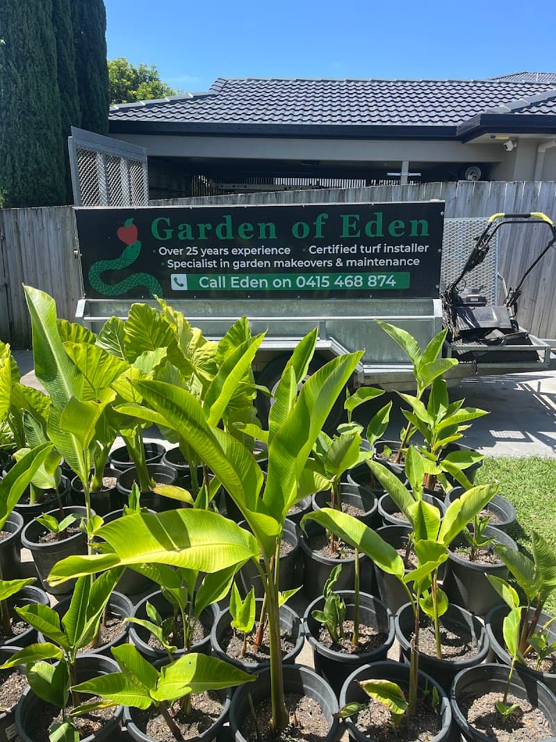 Garden of Eden Garden Care landscaping work in Benowa