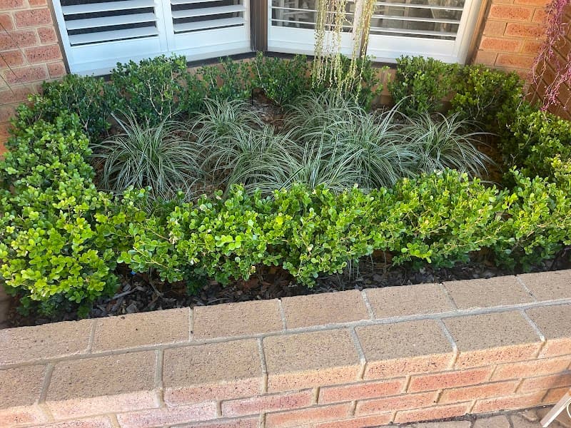 Gardener Co landscaping work in Como