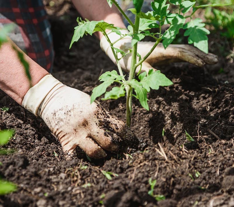 Gardener Co landscaping work in Como