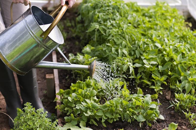 Gardener Co landscaping work in Como