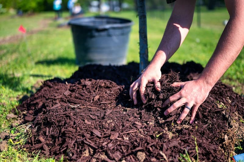 Gardener Co landscaping work in Como