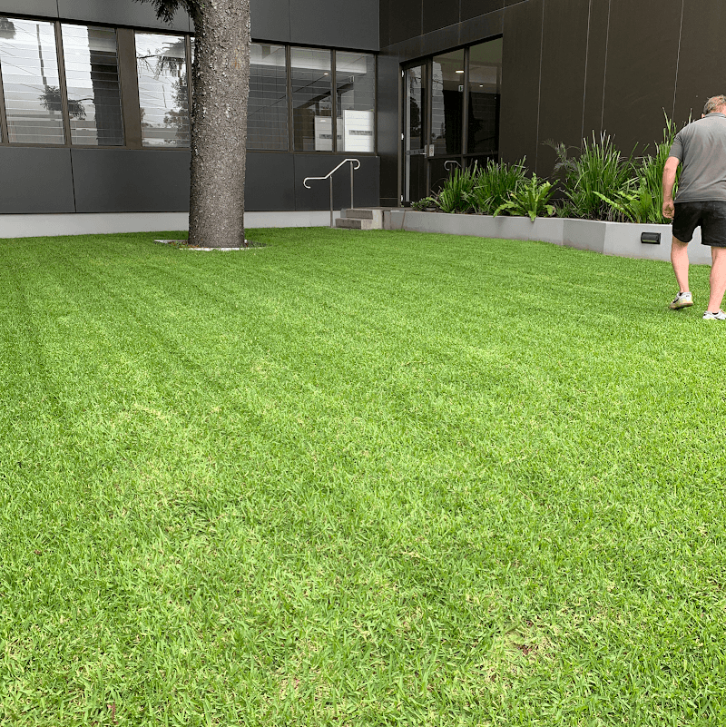 Gardener sydney landscaping work in Kensington