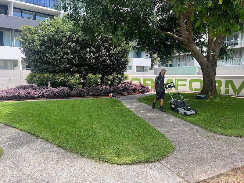 Gardener sydney landscaping work in Kensington