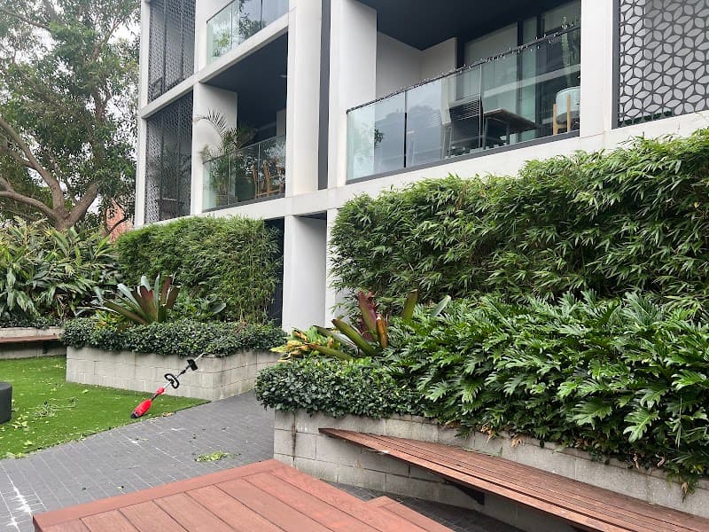 Gardener sydney landscaping work in Kensington