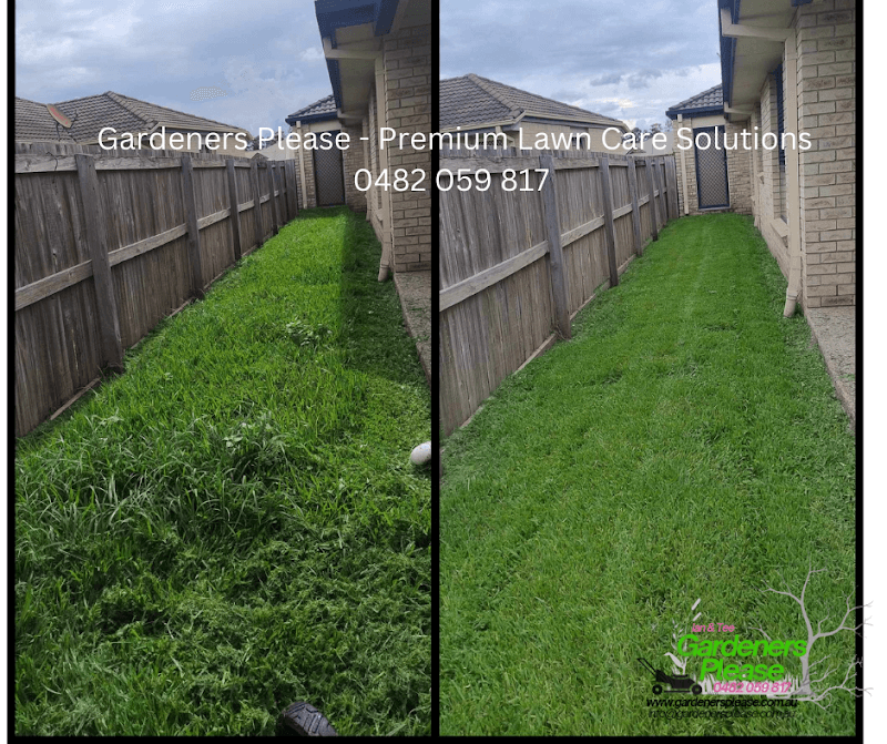 Gardeners Please lawn care work in Brassall