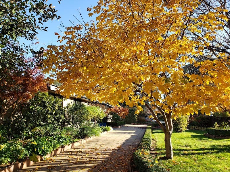 Gardening Girls Canberra gardening work in Narrabundah